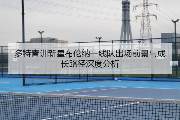 多特青训新星布伦纳一线队出场前景与成长路径深度分析 - kaiyun